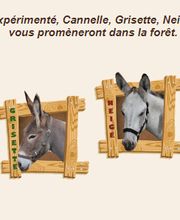 La Ferme De La Bitarelle image 4