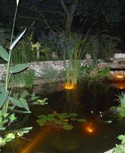 Alex Paysage image 18