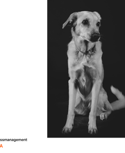 Extro.DIREKT GmbH Bild 14