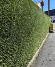 AMS Dienstleistungen Bild 6