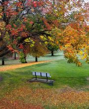 Cameron Park Country Club image 4