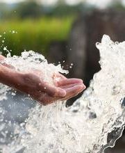 MOSQUINTES, S.L imagen 6