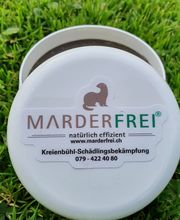 Kreienbühl - Schädlingsbekämpfung Bild 5