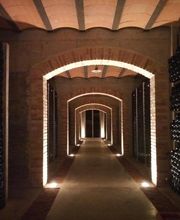 Francelec 84 image 9