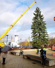 Autoservice Feuerstein Bild 11