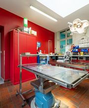 Clinique vétérinaire du Barlet - Douai - Sevetys image 10