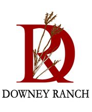 Downey Ranch, Inc. image 2