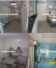 Clínica Veterinaria Albéitar imagen 2