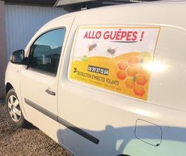 Allo Guepes image 8