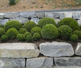 Mathis Gartenpflege und Gestaltung GmbH Bild 6
