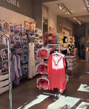 Calzedonia immagine 1