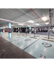 Wenea imagen 3