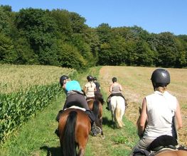 Centre Equestre des Cavalous image 6
