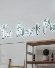 The Black Poodle Groom & Care S.L. imagen 6