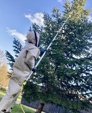 Sebastien Anti Nuisibles image 13