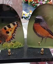 Pompes Funèbres Caton Péquignot image 2