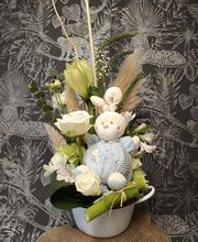 Bovedes Shirley image 14