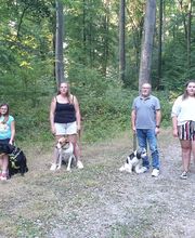 Amis Dogs 76 image 14