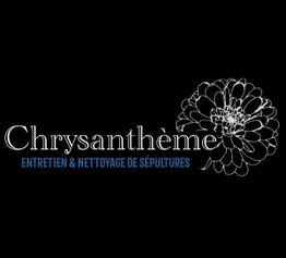 Chrysantheme