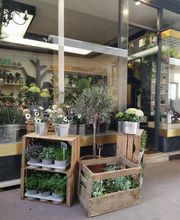 Marcelle Mauricette image 1