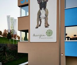 Marigin Tierklinik - 24 Std. Notfalldienst - Zentrum für Tiermedizin Bild 13