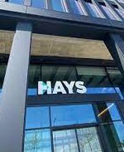 Hays | Personalvermittlung in Mannheim Bild 1