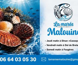 LA MAREE MALOUINE image 16