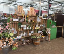 Pirig Gartencenter Bild 11