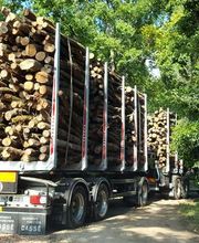 ALLIANCE Forêts Bois image 6