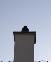 Solatec image 1