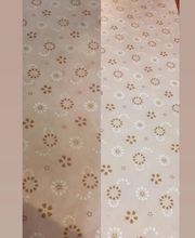 Pradal Nettoyage image 11