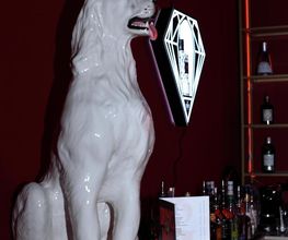 Scorpion Showclub Bild 4
