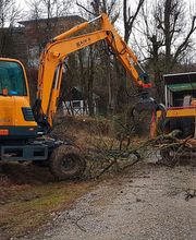 Kajo''s Baumfällungen Bild 3