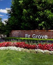 Fir Grove Apartments image 10