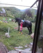 Henrotay Gilles image 3