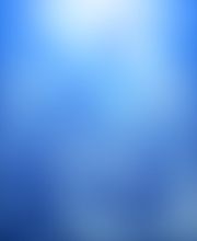 Caring Hands Animal Hospital - Centreville image 9