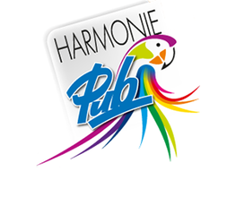 Harmonie Pub Rose SARL image 2