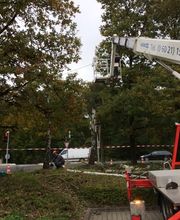 PICOBELLO DIENSTLEISTUNGEN Bild 4