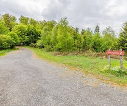 FriedWald Bad Laasphe Bild 10