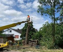 Gartenbau Schade Bild 7