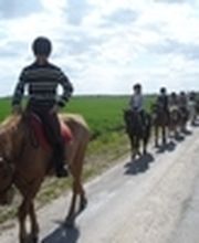 La Chaumière Aux Poneys image 9