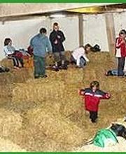 Ferienhof Bruns Bild 7