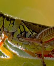 CIADIT SUISSE SA Bild 9