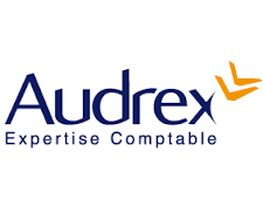 Audrex image 2