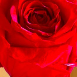 erotischegeschichten