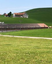 Zuchtbetrieb Kochegg Bild 3