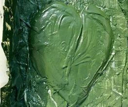 Spiruline des Olonnes image 4