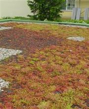 Stephan Volfova Dachdeckermeister Bild 6