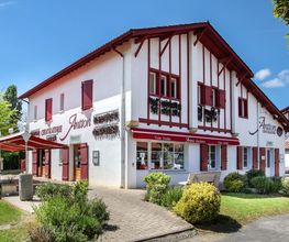 Antton image 1