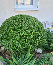 Vert Avenir image 2